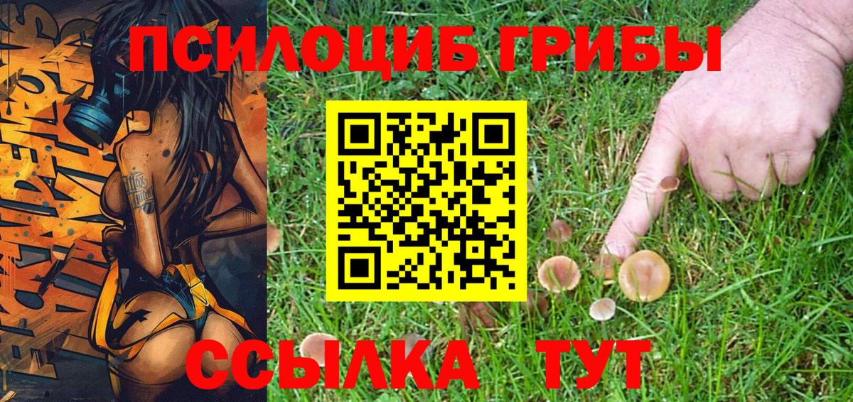 Отрадный  Галлюциногенные грибы Magic Shrooms  Вход с VPN 